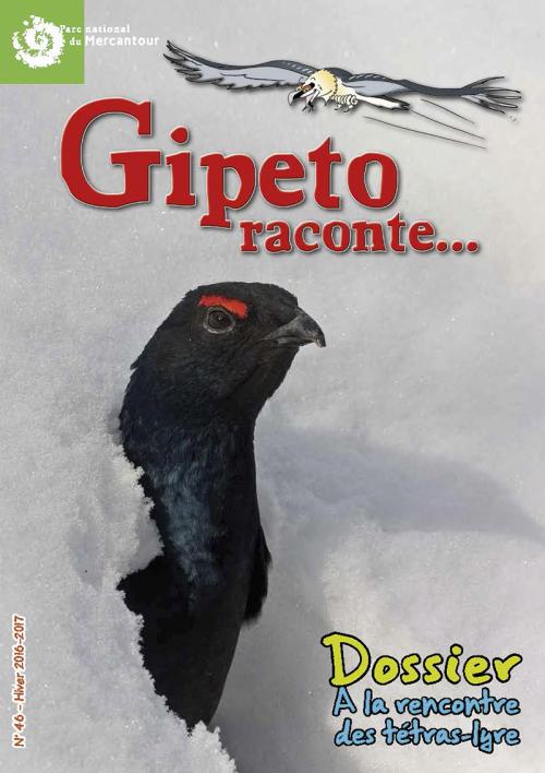 gipeto-46-vd-light_page_01.jpg