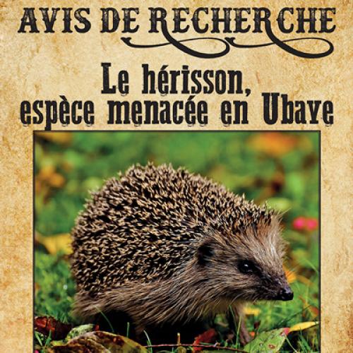 2021-03-22-affiche-herisson-ubaye-vd-400px.jpg