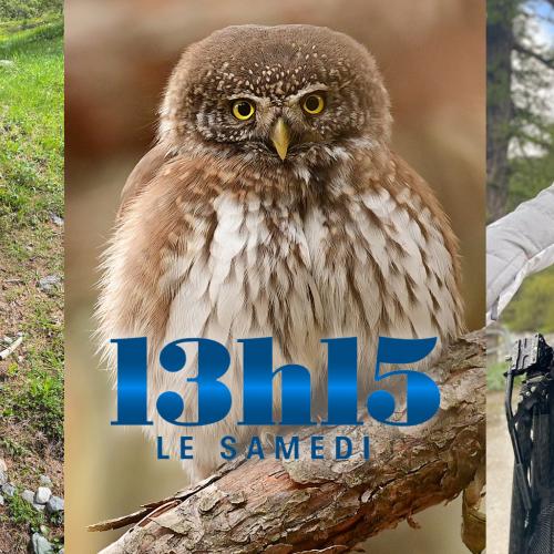 13h15 le samedi © France 2