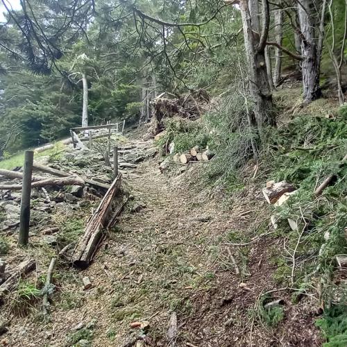 Départ sentier du Cavalet après le déblaiement des chablis © J.-M. Gusmeroli / PnM