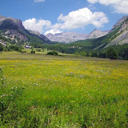  Paysages du Haut-Var et du Cians