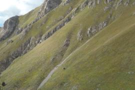 Zones d'hivernage du chamois sous la cime de Tuor, alpage de l’Ortiguier (Vésubie). L’objectif est de conserver une ressource en herbe suffisante pour la période hivernale, été 2023 – C. Assmann / PnM