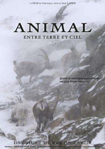 ANIMAL entre ciel et terre - ANIMAL entre ciel et terre