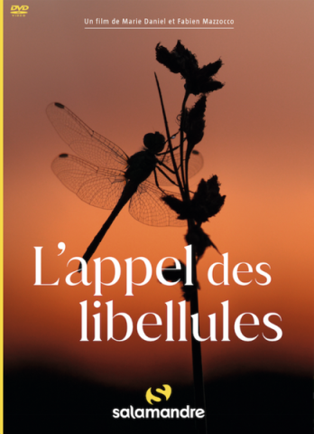 Image - L'appel des Libellules