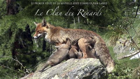 Le clan des renards - Le clan des renards