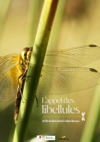 L'appel des Libellules - L'appel des Libellules