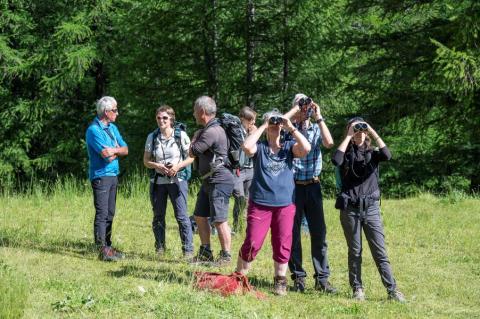 Groupe accompagné en observation - Groupe accompagné en observation