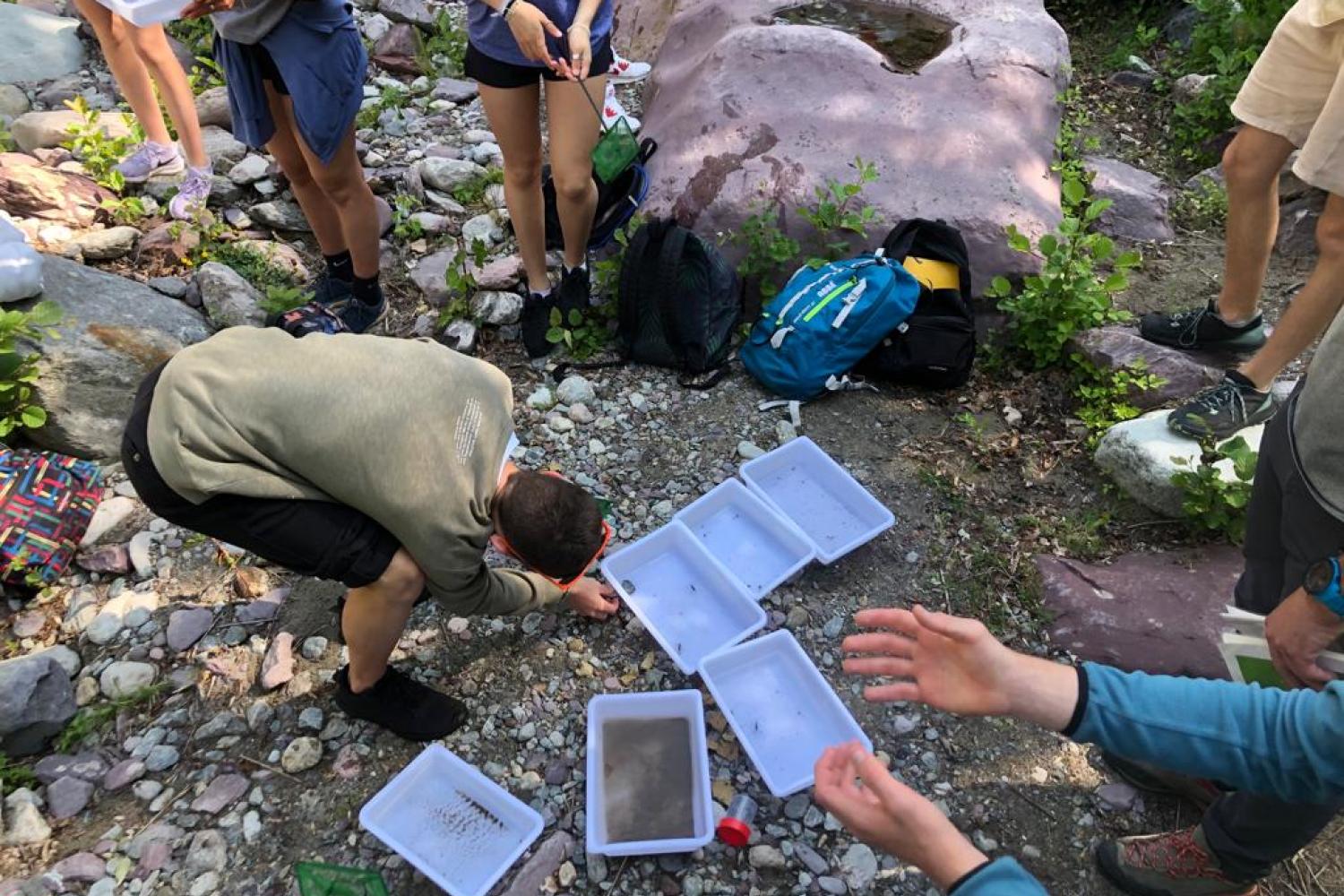 Des lycéens de Valdeblore au chevet du torrent de Millefonts © R. Lurion / PnM