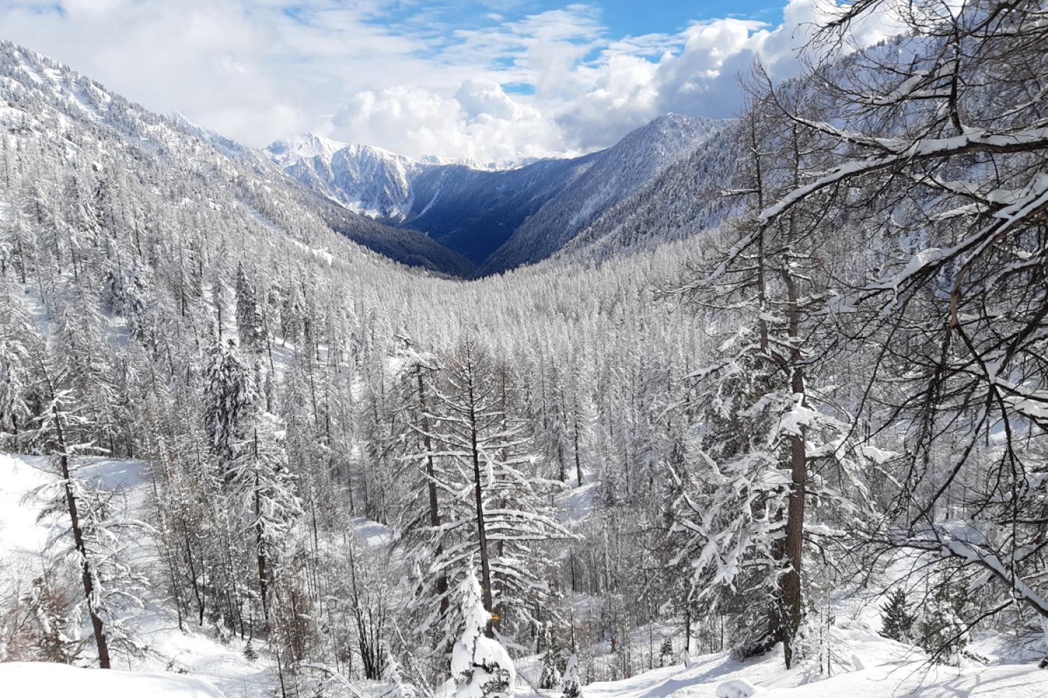 Le vallon de Salèse sous la neige © J. Brahim / PnM