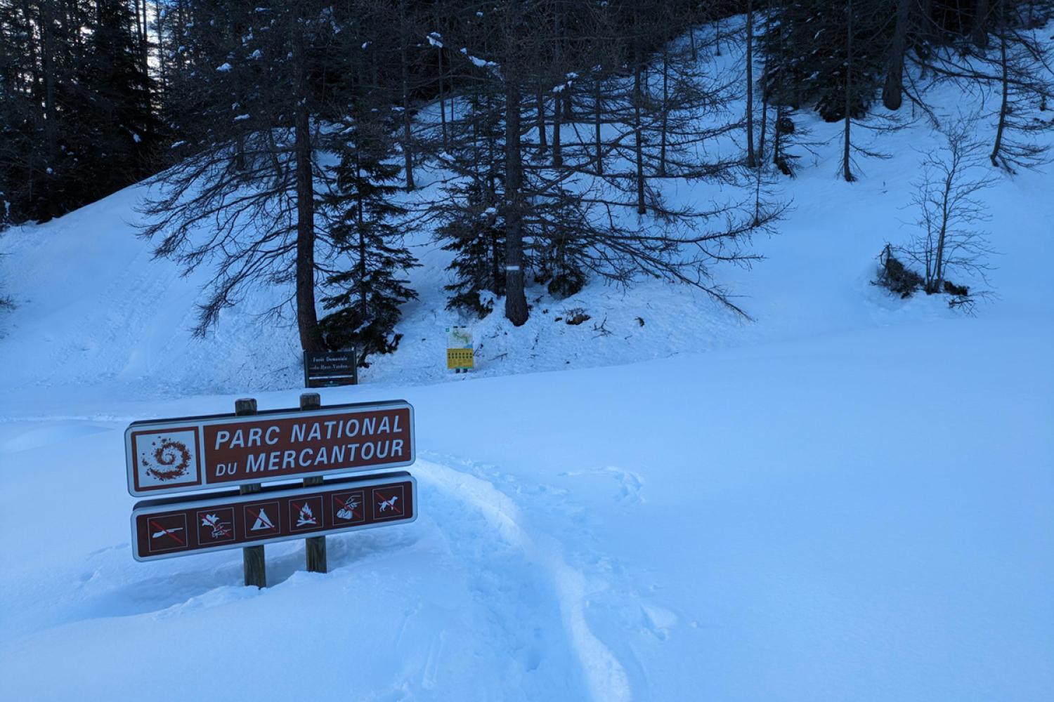 Plus d’un mètre de neige sur les hauteurs d’Allos © S. Roux / PnM