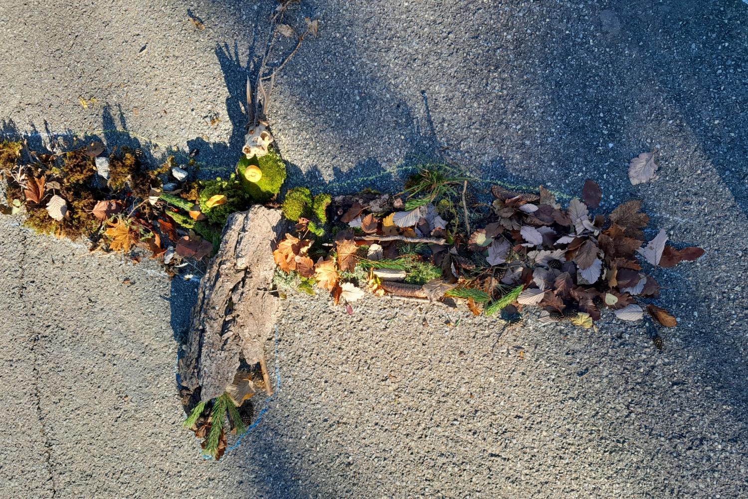 Gypaète en Land Art (© L. Bonetto)