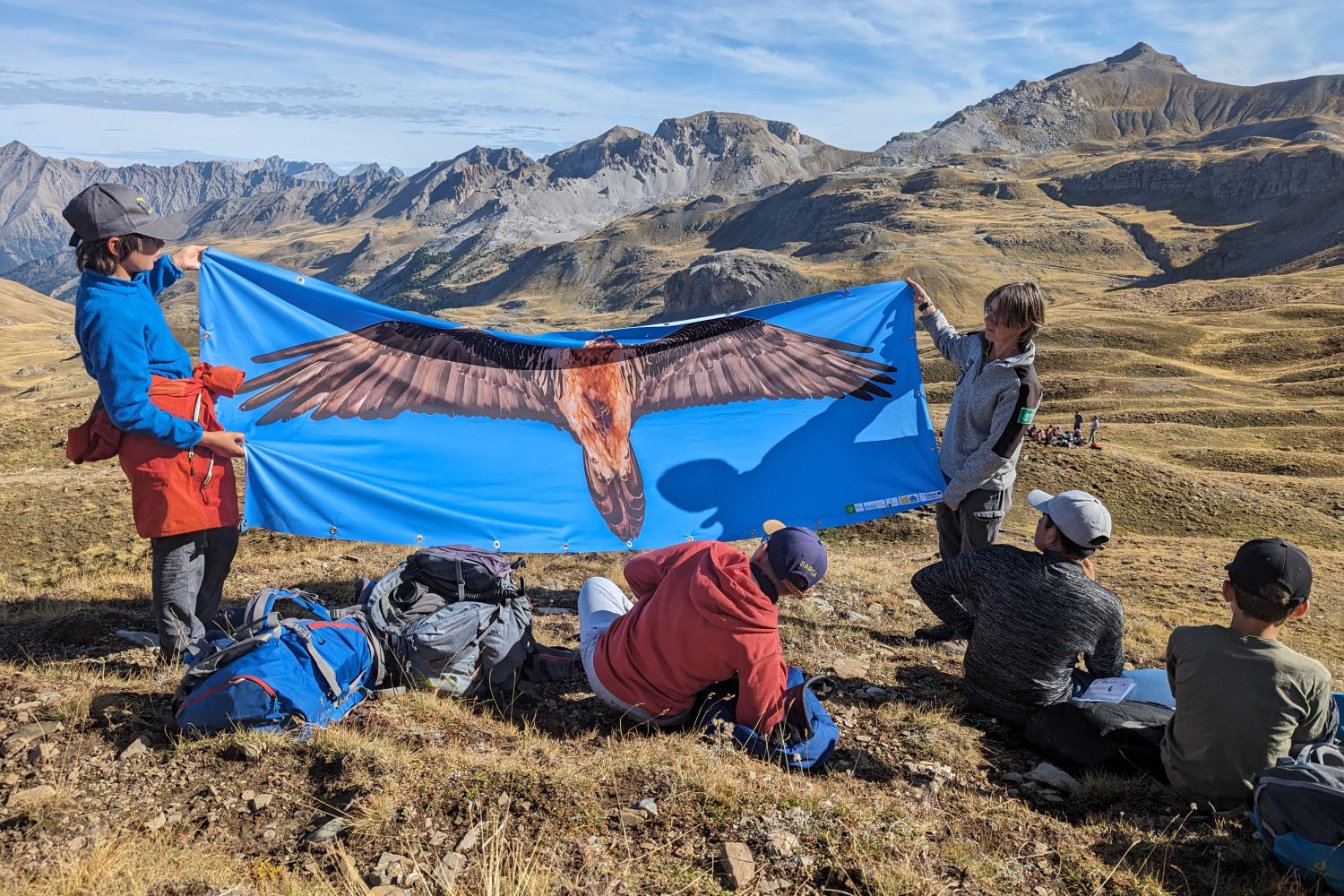 Marion nous montre la taille réelle d’un gypaète barbu (© C. Georget) 