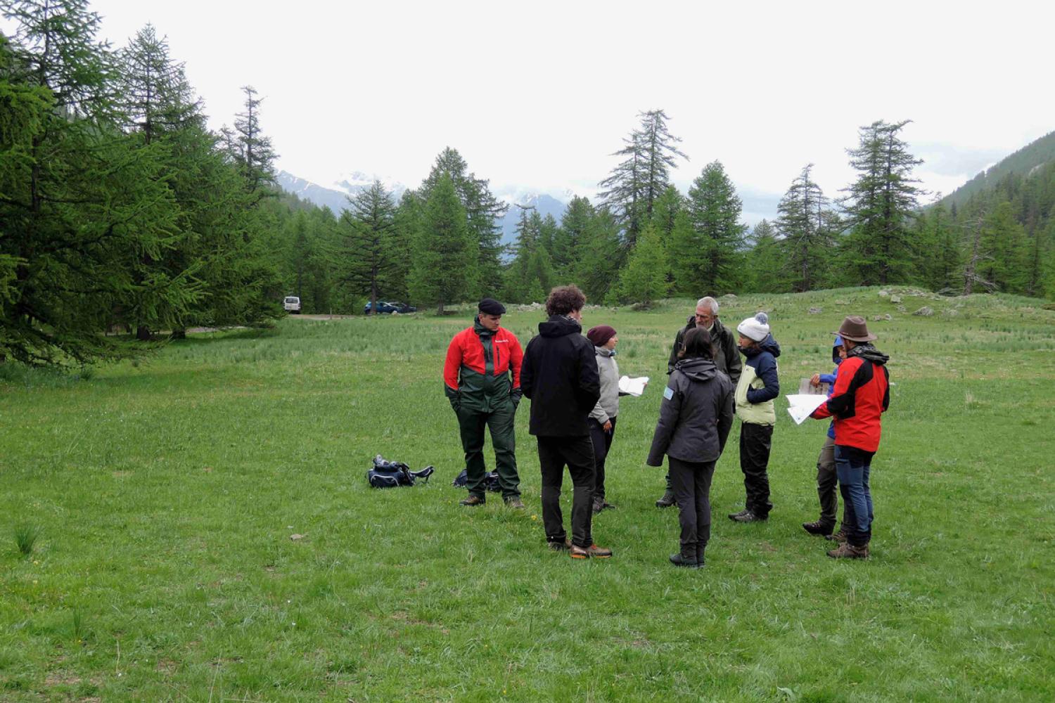 Échanges sur les moyens d'évaluer l'état de conservation des milieux ouverts d'altitude © C. Assmann / PnM