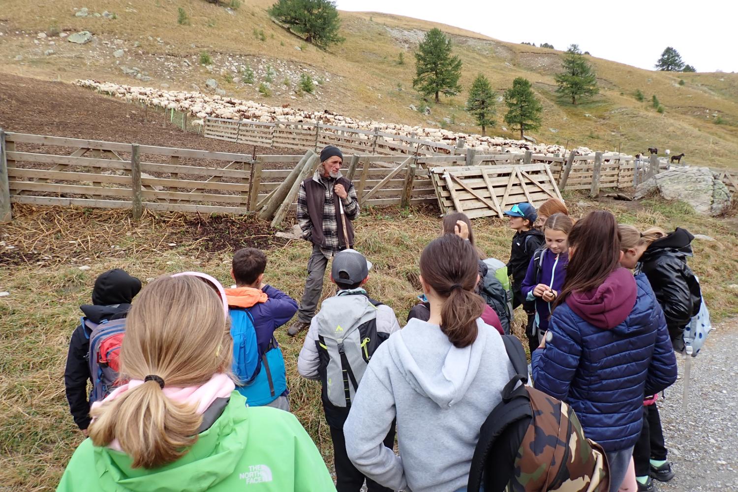 Les 6eme de l'Ubaye en montagne © F. Breton / PnM