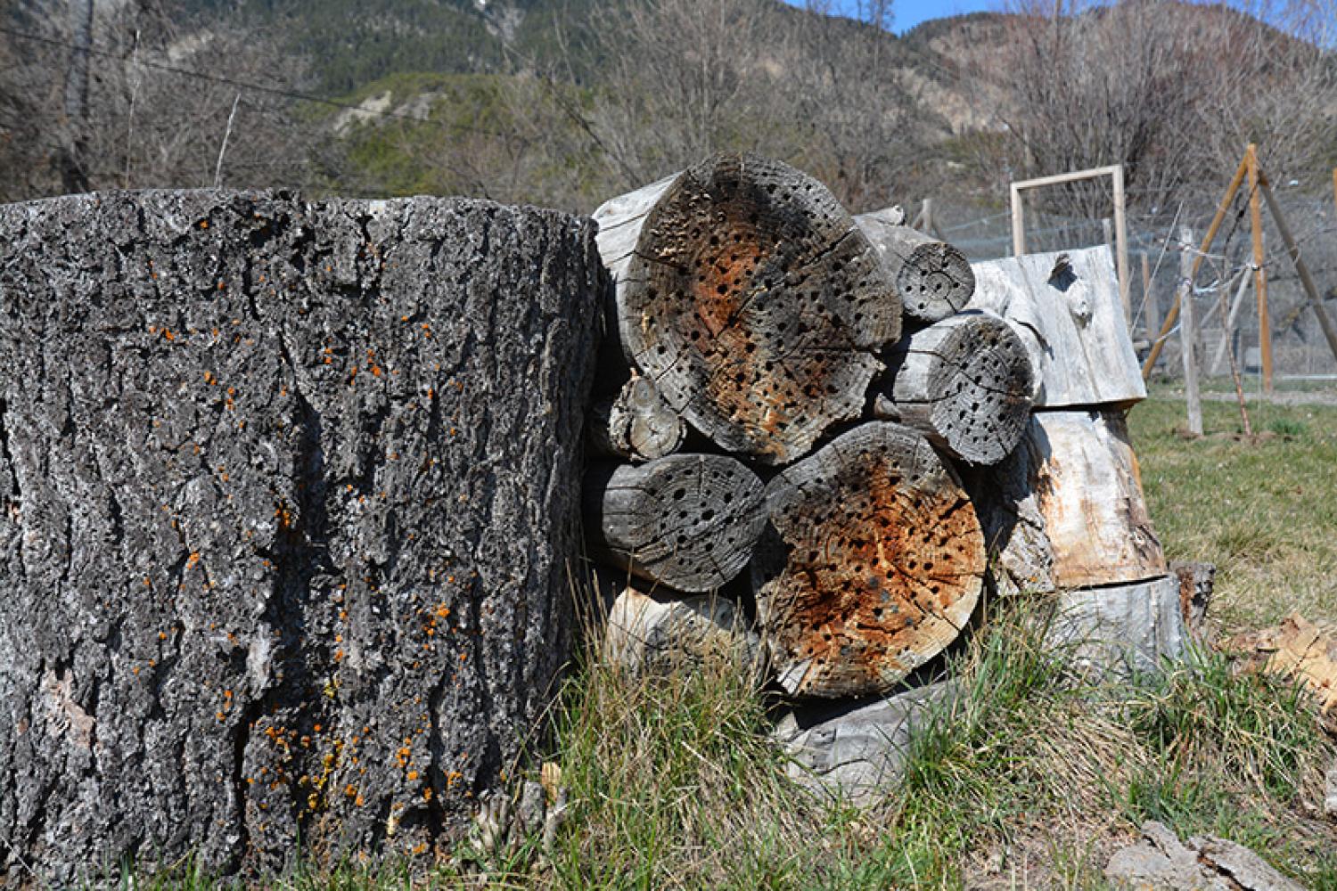 3-autre-exemple-dinstallation-fbreton-800px.jpg