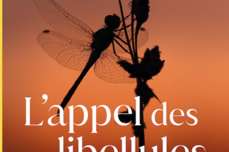 Image - L'appel des Libellules